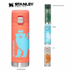 Flowsteady 500 Ml Stanley